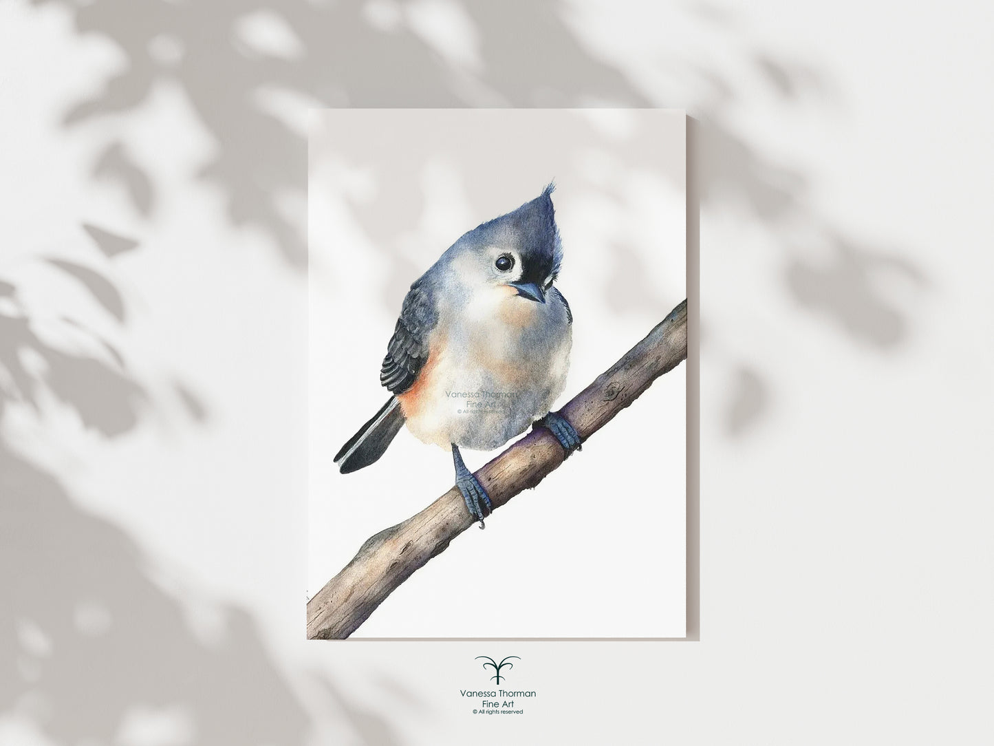 Set of 3 Songbirds - Fine Art Prints