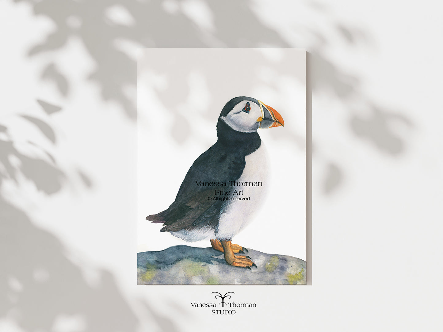 Atlantic Puffin | Puffin Watercolor Art Print | Bird Art Giclée