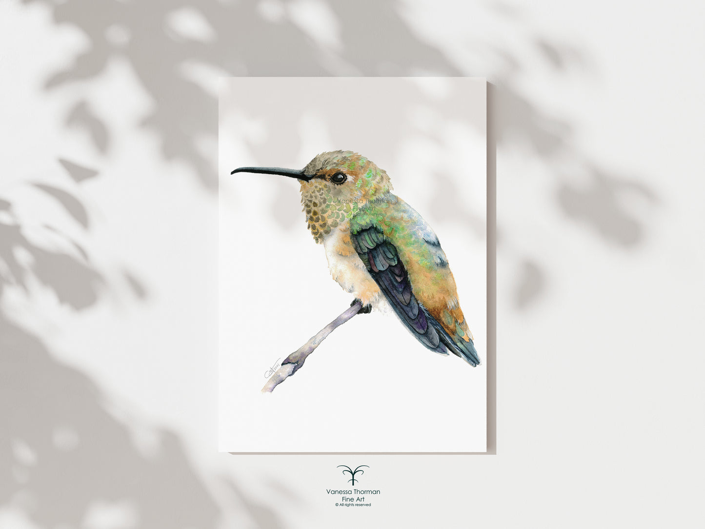 Set of 3 Hummingbirds - Fine Art Prints