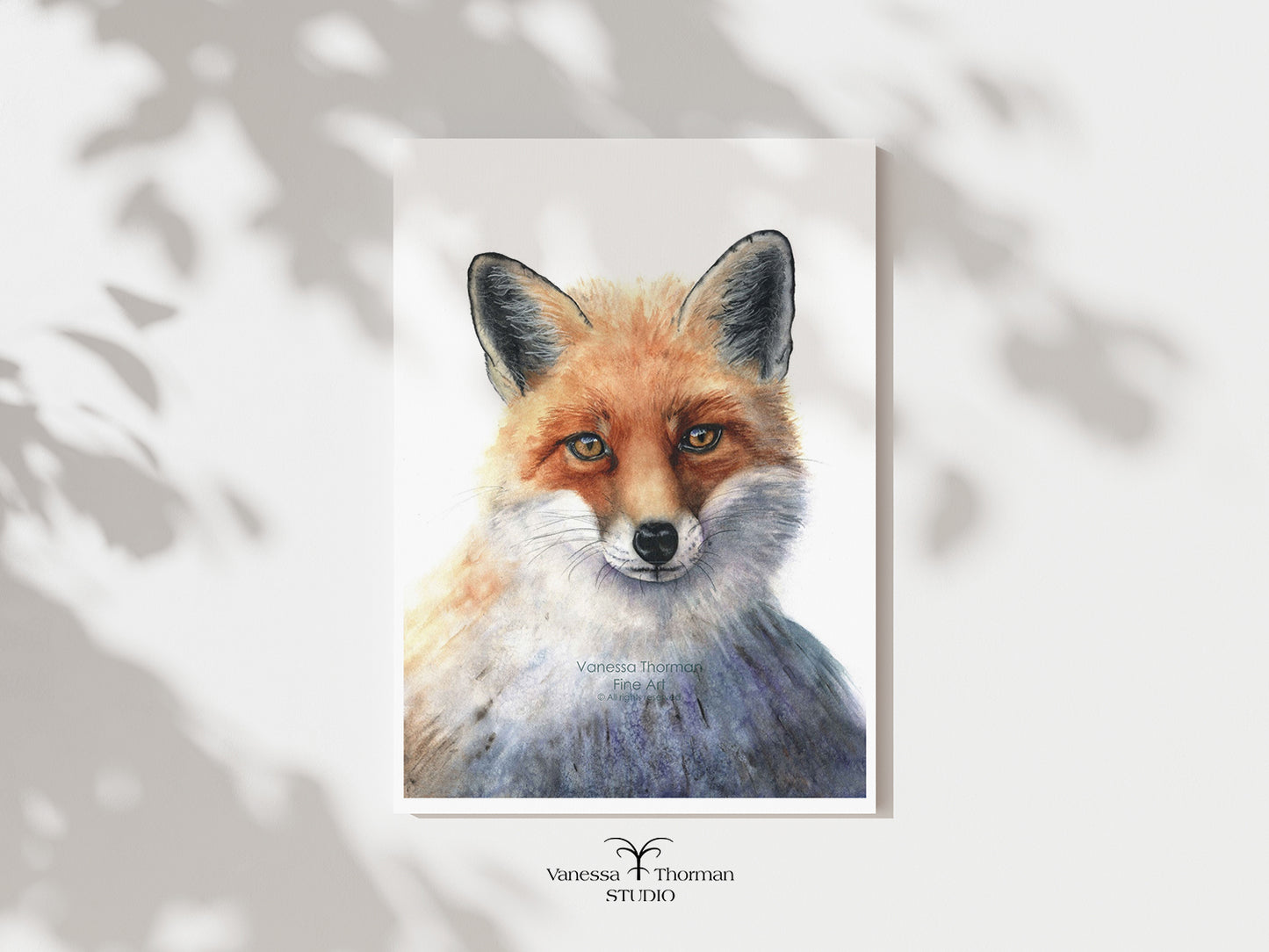 Italian Fox - Fine Art Print