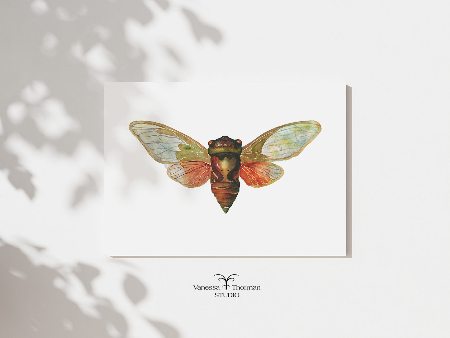 Cicada | Cicada Watercolor Art Print | Insect Art Giclée