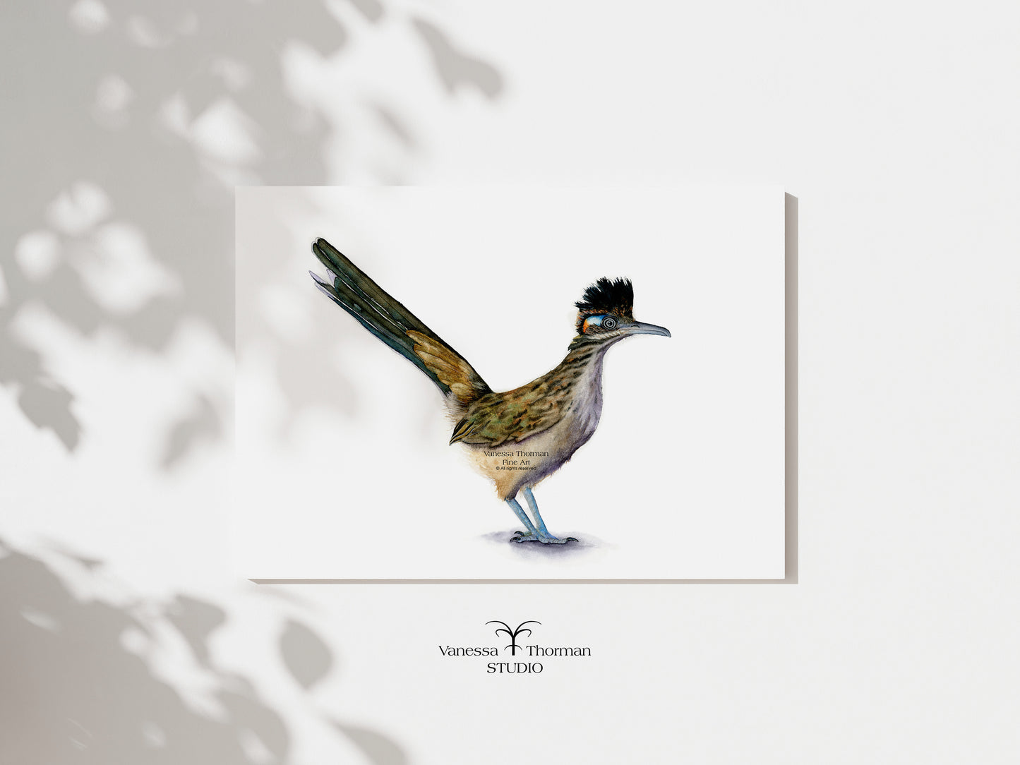 Roadrunner | Roadrunner Watercolor Art Print | Bird Art Giclée