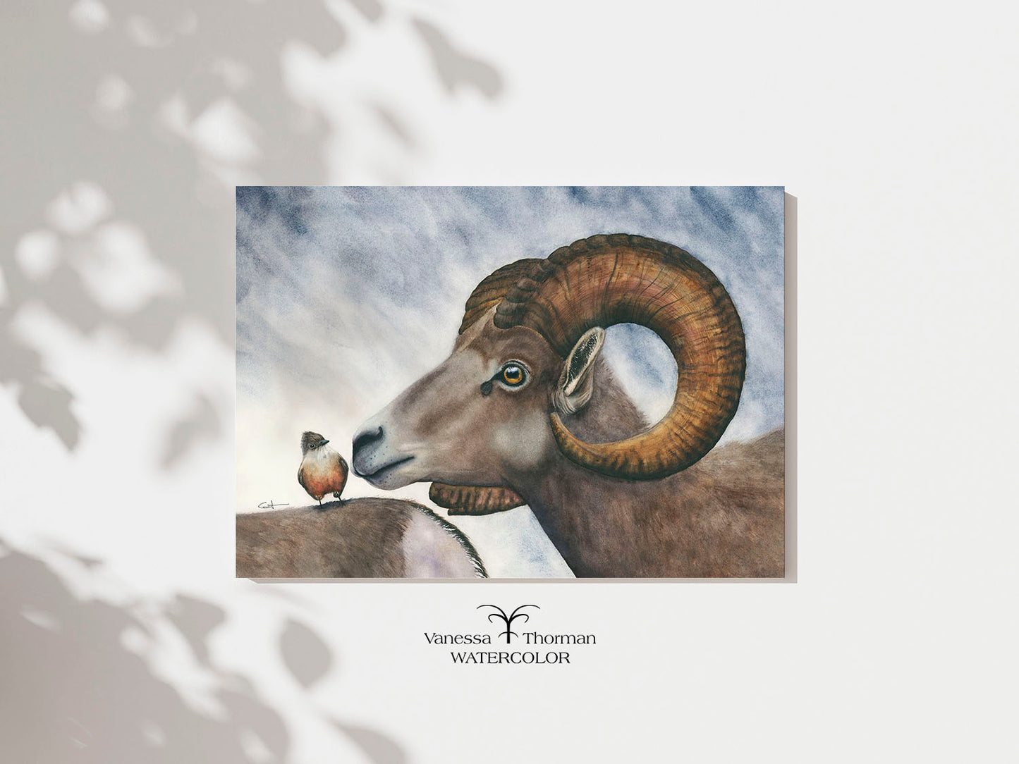 Bighorn Sheep | American Wildlife Watercolor Fine Art Print