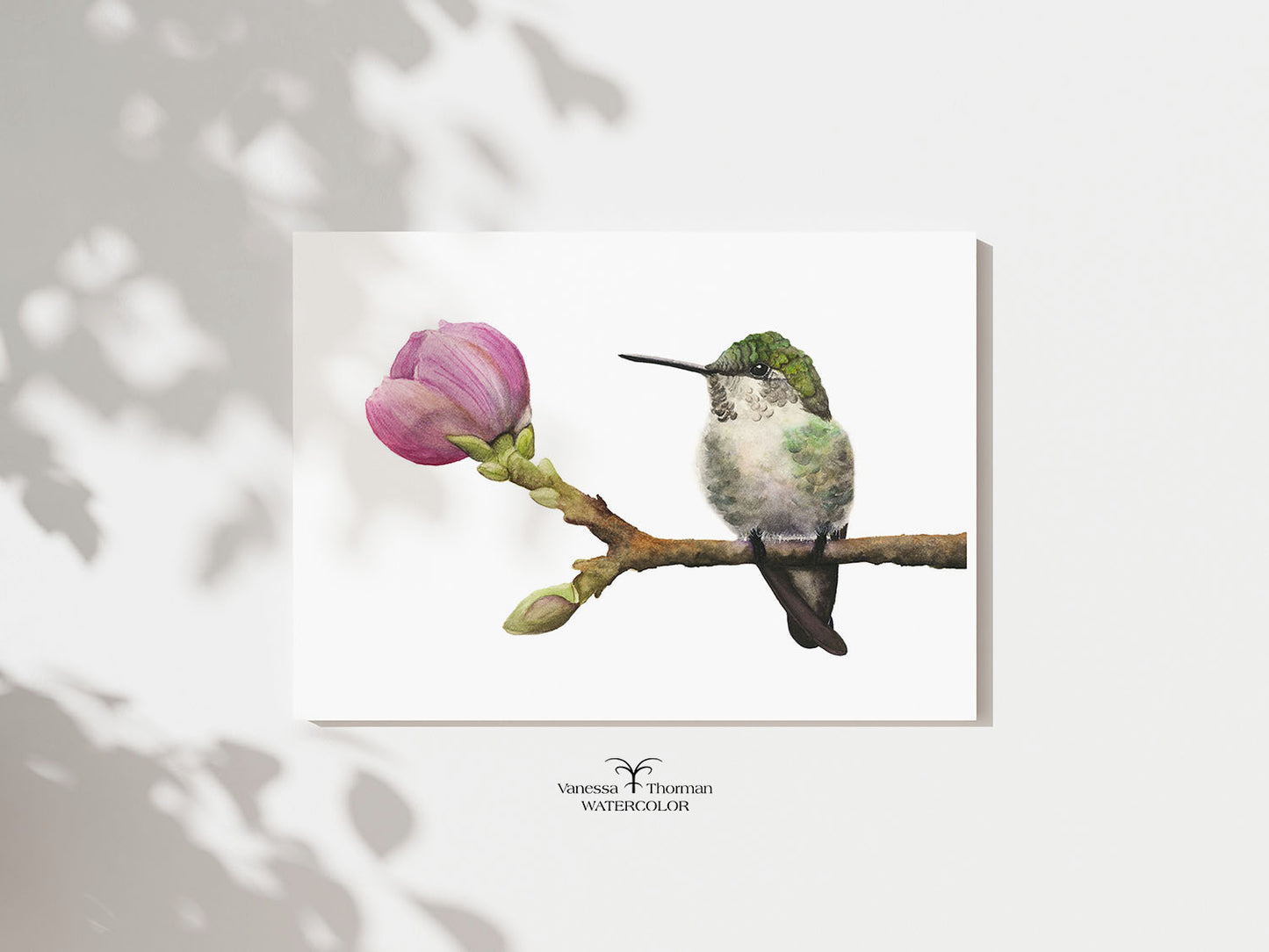 Anna's In Bloom | Hummingbird Art | Watercolor Fine Art Print