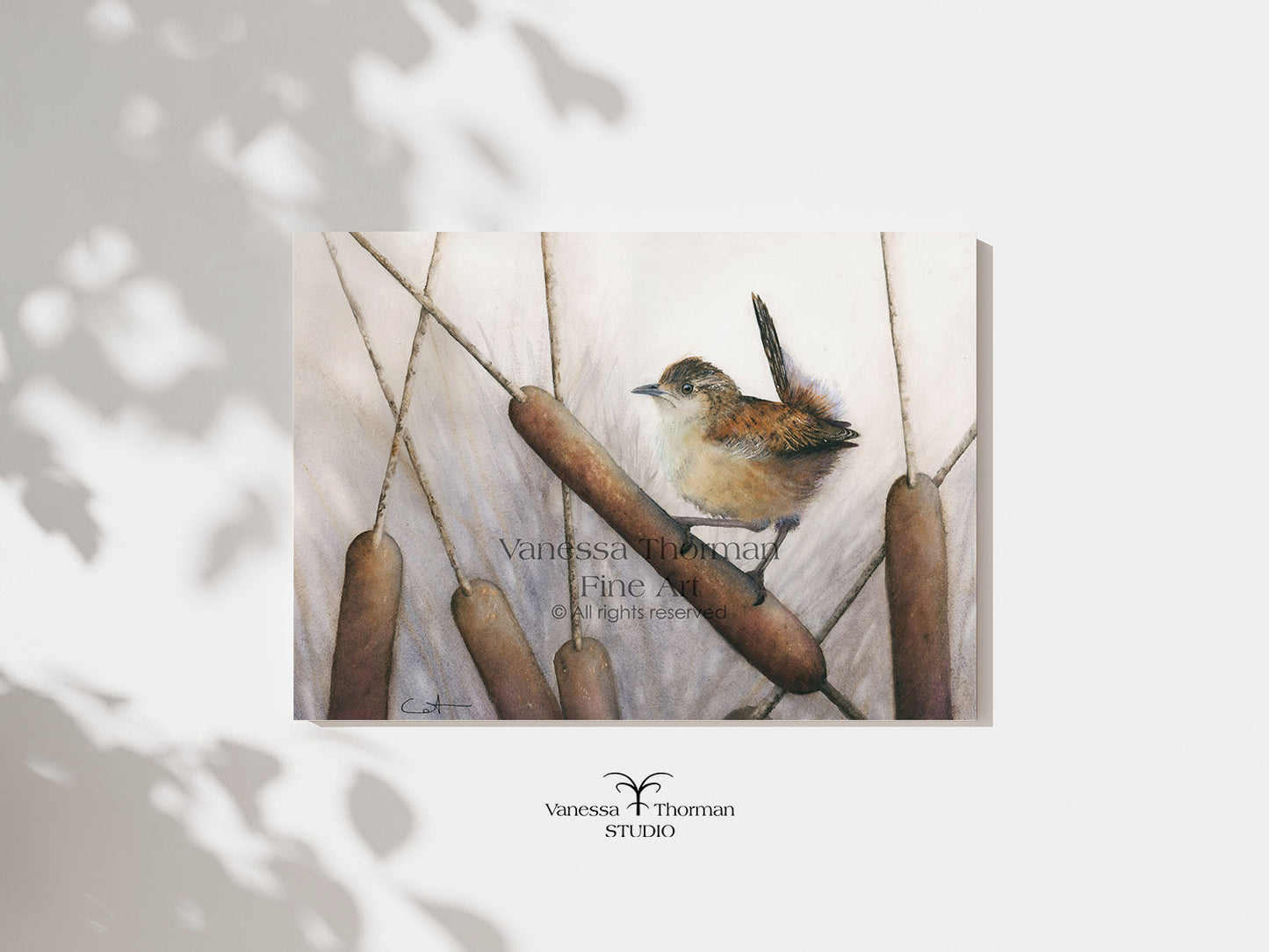 Marsh Wren | Wren Watercolor Art Print | Bird Art Giclée