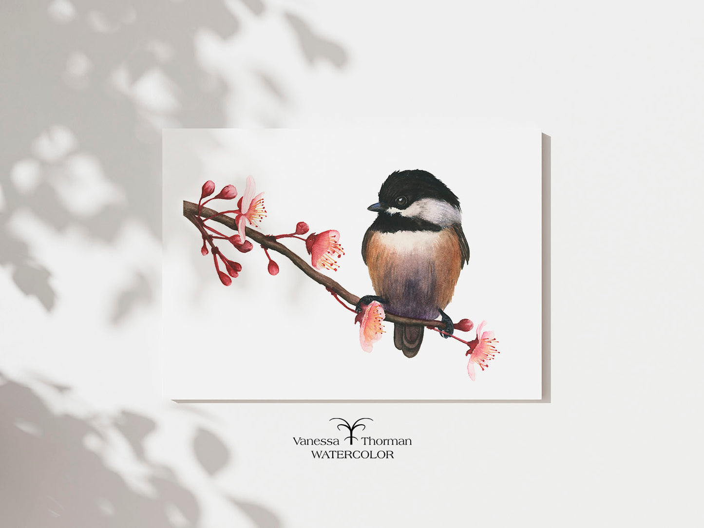 Spring Chickadee | Black-Capped Chickadee Watercolor Fine Art Print