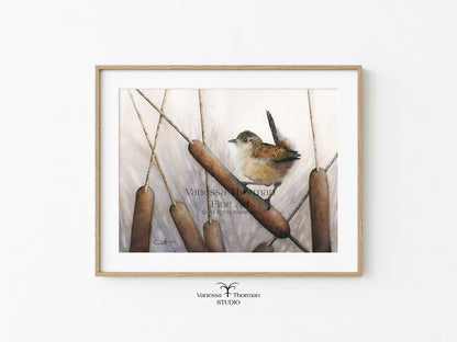 Marsh Wren Watercolor Art Print – Fine Art Giclée