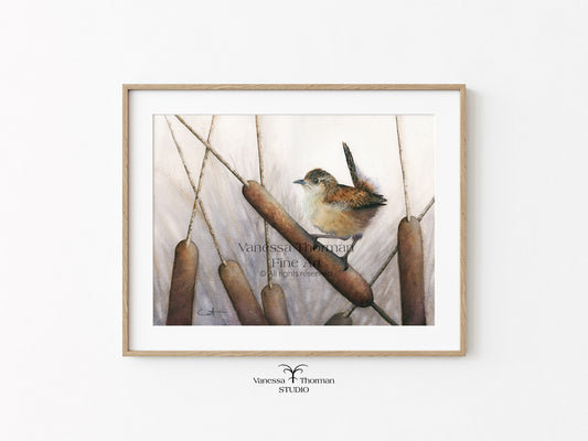 Marsh Wren Watercolor Art Print – Fine Art Giclée