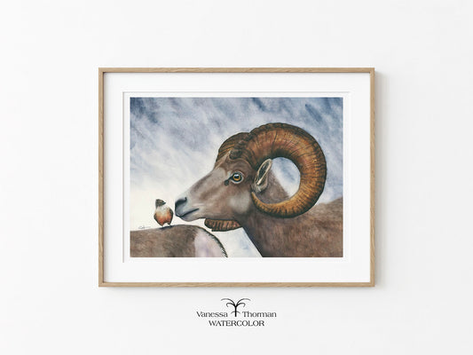 Bighorn Sheep | American Wildlife Watercolor Fine Art Print