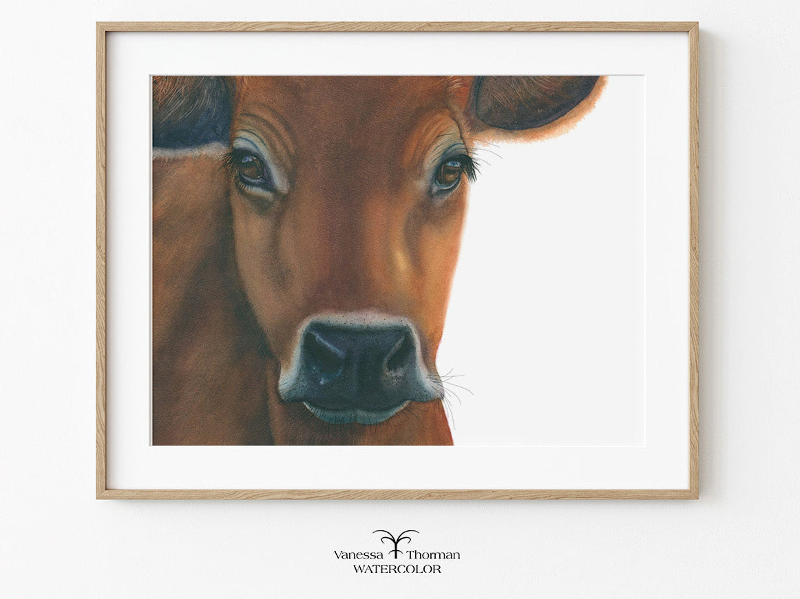 Framed artwork of a brown cow's face on a white background