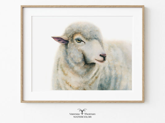 Framed artwork of a sheep on a white background