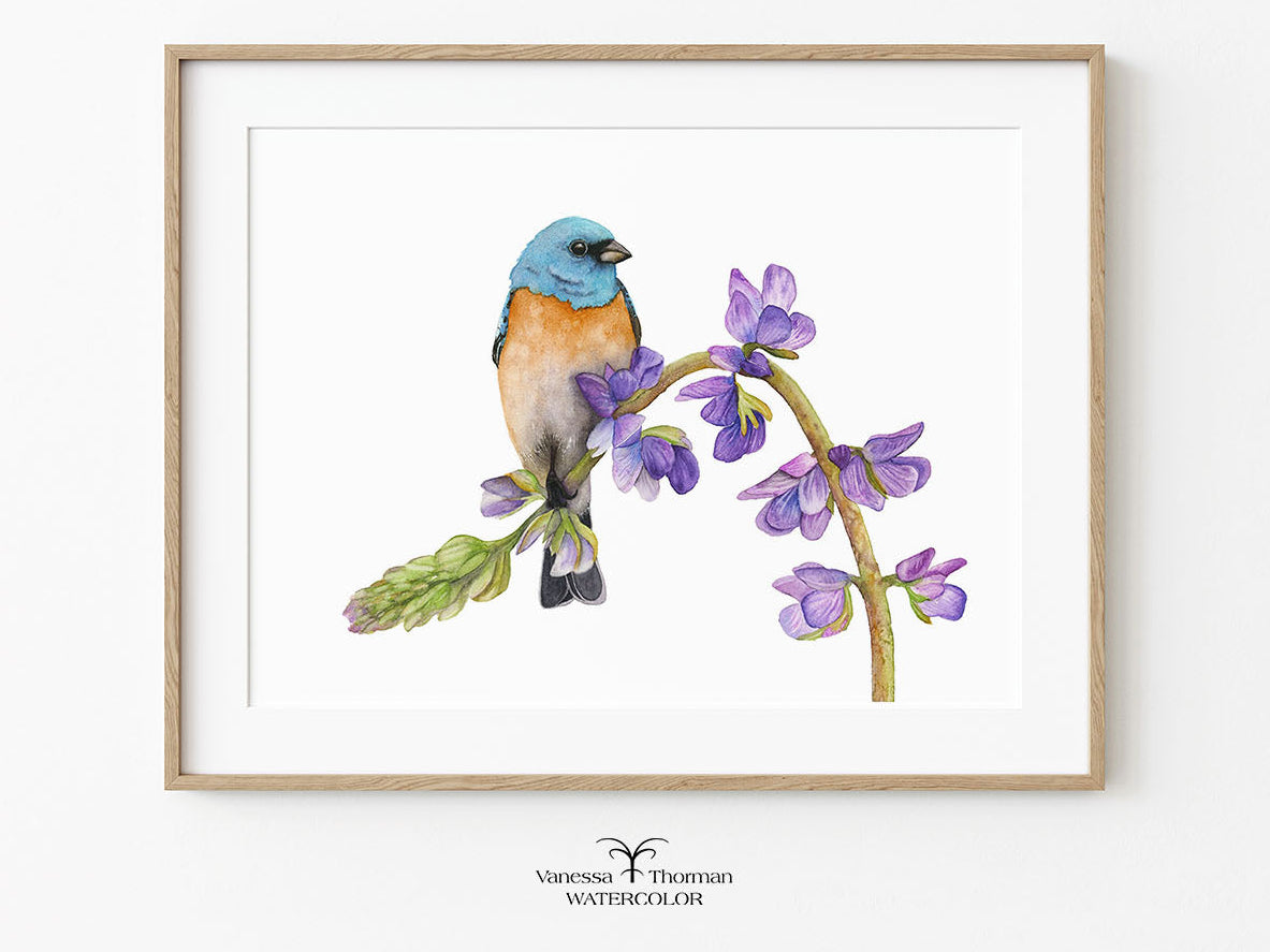 Framed artwork of a Luzuli Bunting bird perched on a branch with flowers on a white background