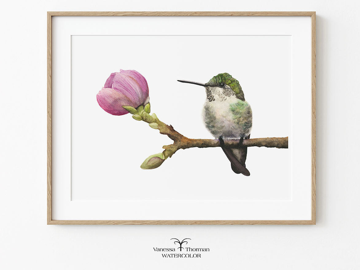 Framed artwork of a hummingbird on a branch with a pink flower against a white background
