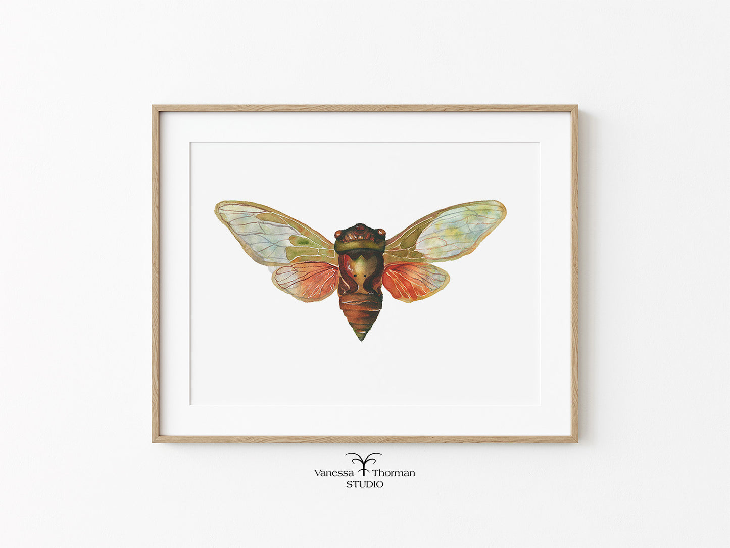 Framed artwork of a colorful cicada insect on a white background