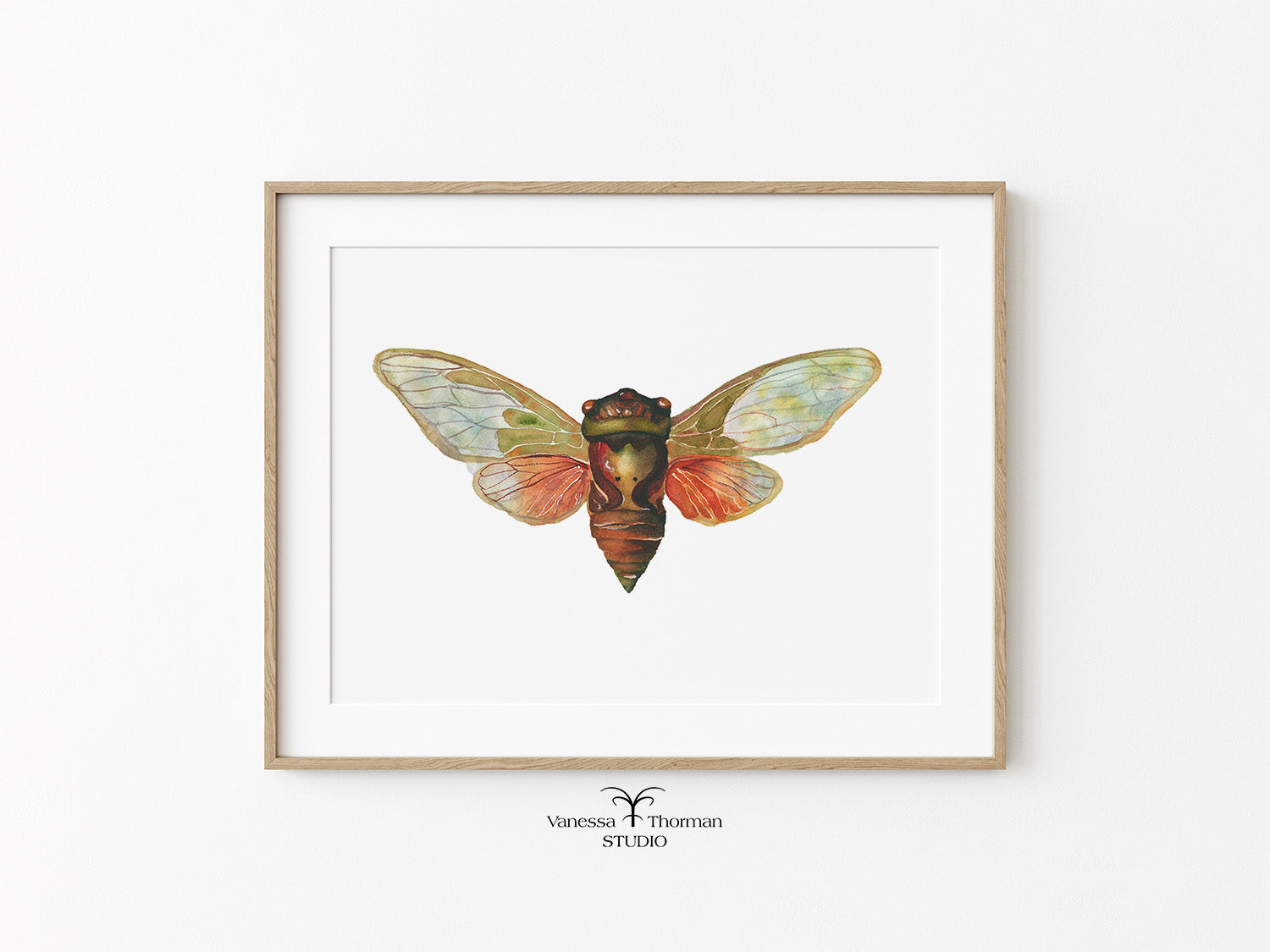 Framed artwork of a colorful cicada insect on a white background
