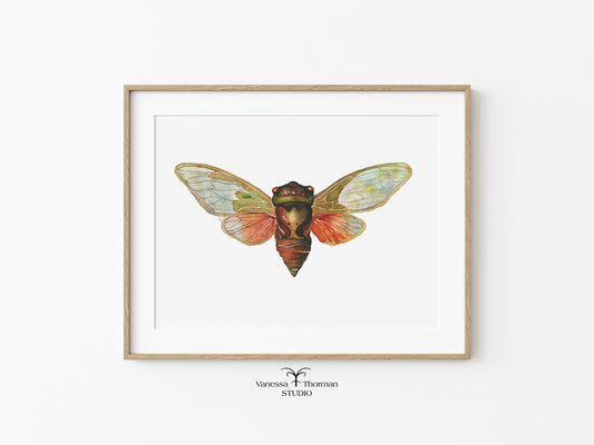 Framed artwork of a colorful cicada insect on a white background