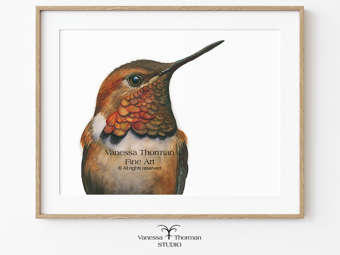Framed artwork of a hummingbird on a white background