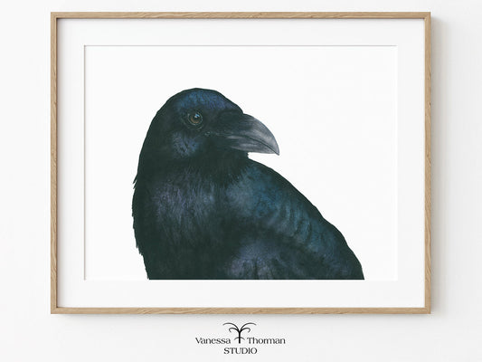 Raven | Raven Watercolor Fine Art Print | Bird Art Giclée
