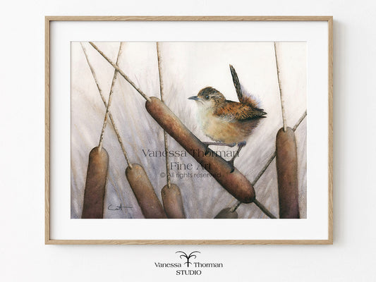 Framed artwork of a Marsh Wren bird perched on reeds with a light background