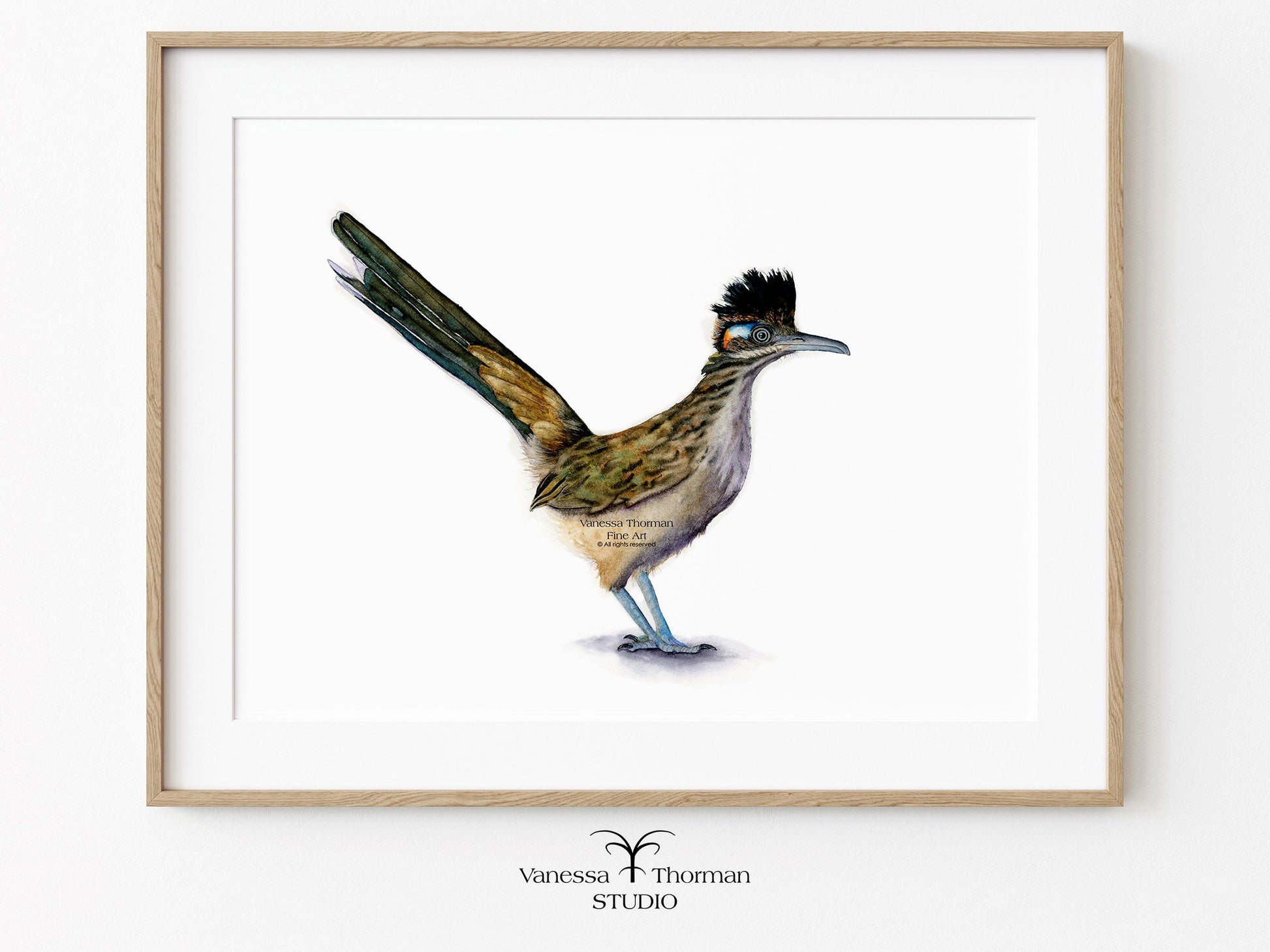 Framed artwork of a roadrunner on a white background
