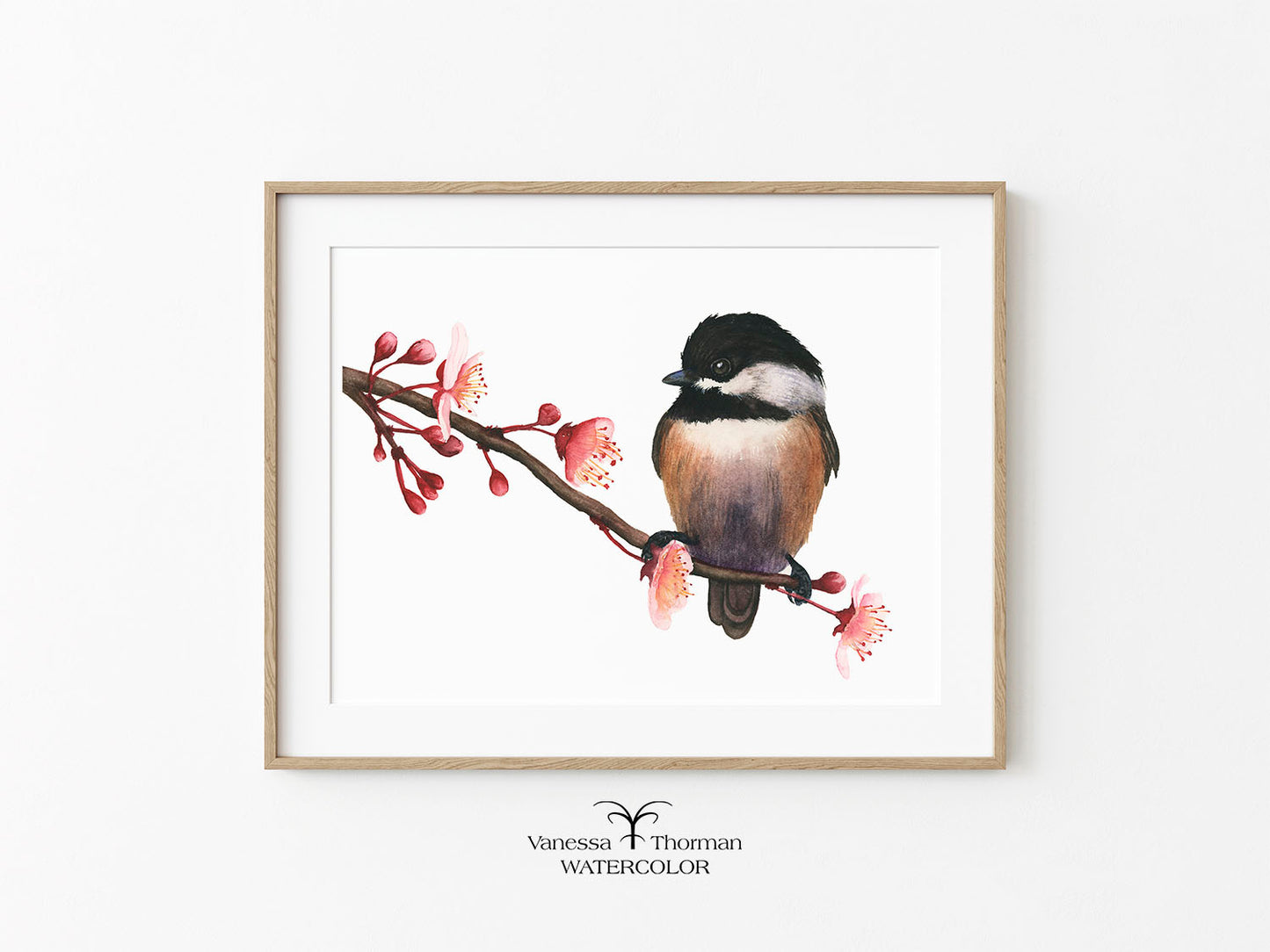 Spring Chickadee | Black-Capped Chickadee Watercolor Fine Art Print