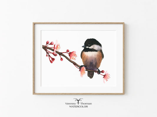 Spring Chickadee | Black-Capped Chickadee Watercolor Fine Art Print