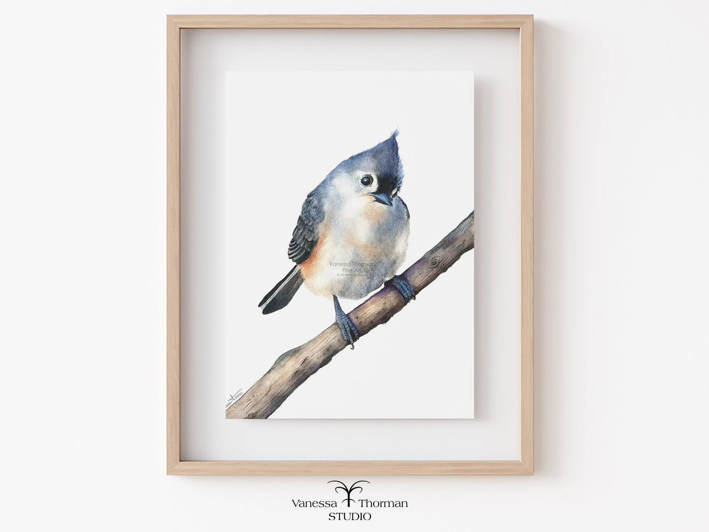 Framed artwork of a tufted titmouse bird perched on a branch