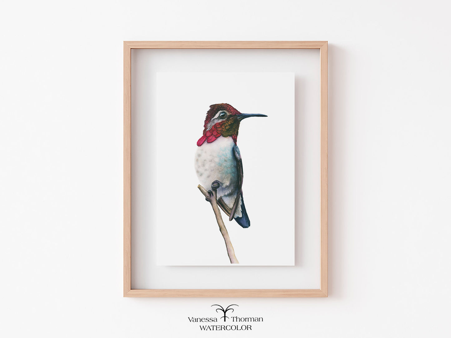 Bee Hummingbird II | Hummingbird Fine Art Print