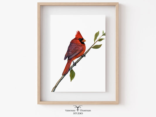 Framed artwork of a red cardinal bird on a branch with leaves, displayed on a white wall.