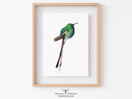 Framed watercolor painting of a green hummingbird on a white background