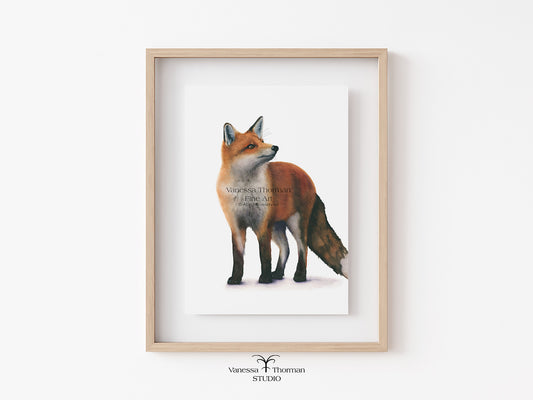 Framed artwork of a fox on a white wall with 'Vanessa Thornton Studio' branding.