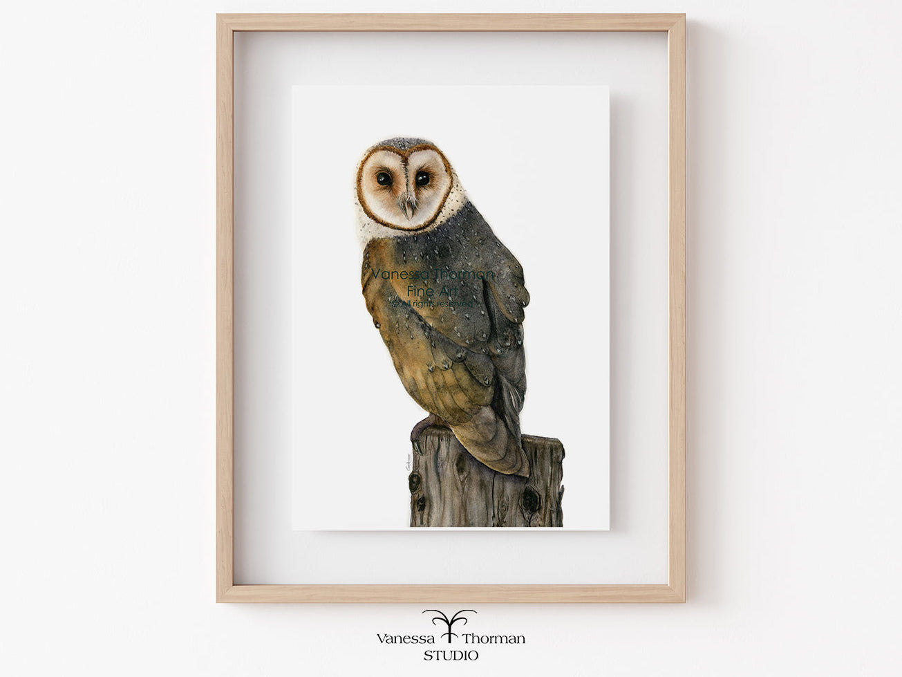 Framed artwork of a barn owl on a branch with 'Vanessa Thornton Studio' branding.