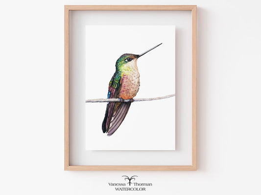 Framed watercolor painting of a hummingbird on a white wall