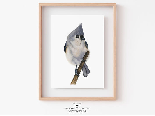Framed watercolor painting of a Tufted Titmouse bird on a branch 