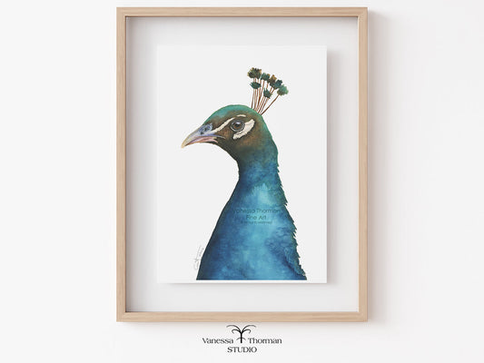 Framed artwork of a peacock on a white wall
