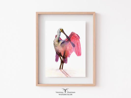 PRETTY IN PINK | Roseate Spoonbill Watercolor Art Print | Bird Art Giclée