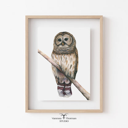 Framed artwork of an owl on a branch with 'Vanessa Thornton Studio' branding.