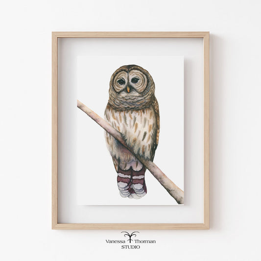 Framed artwork of an owl on a branch with 'Vanessa Thornton Studio' branding.