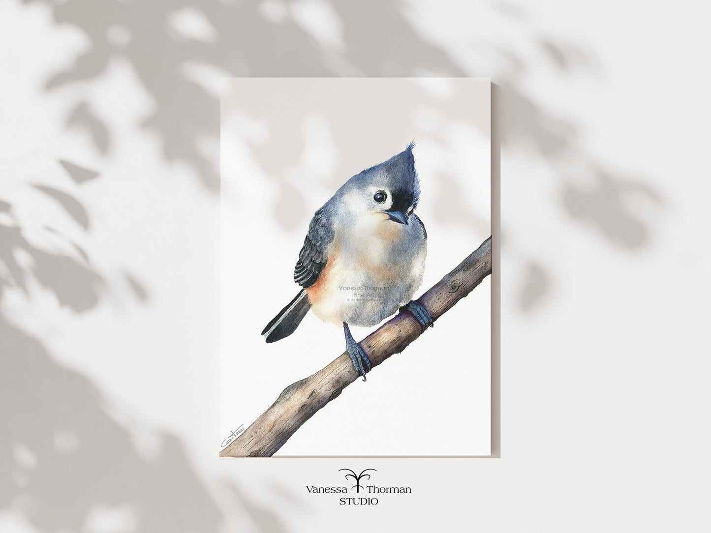 Tufted Titmouse | Titmouse Watercolor Art Print | Bird Art Giclée