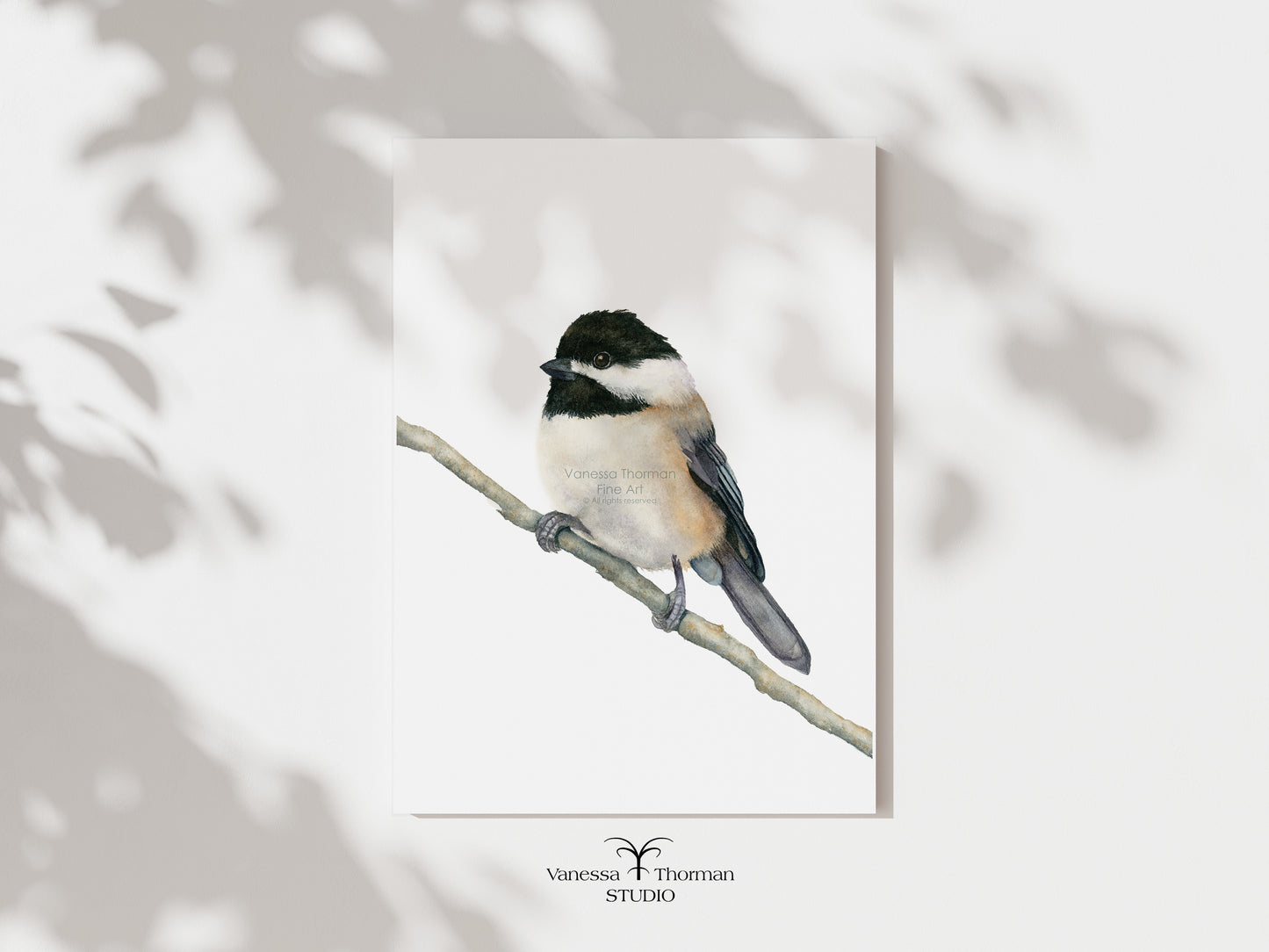 Chickadee| Chickadee Watercolor Art Print | Bird Art Giclée