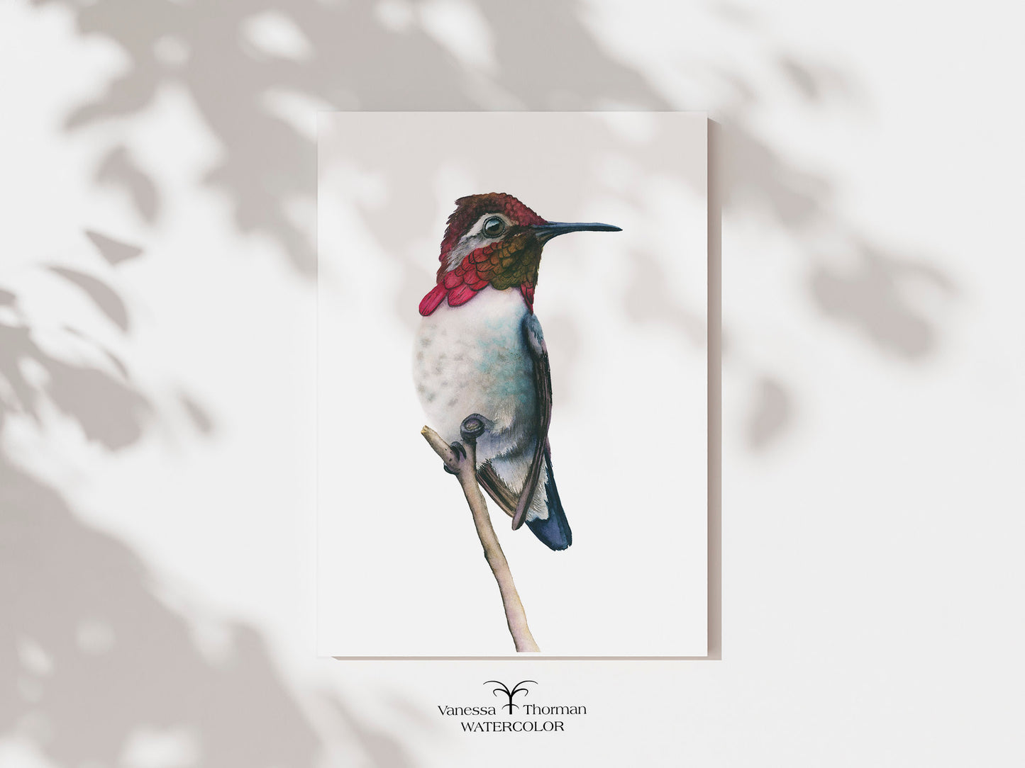 Bee Hummingbird II | Hummingbird Fine Art Print