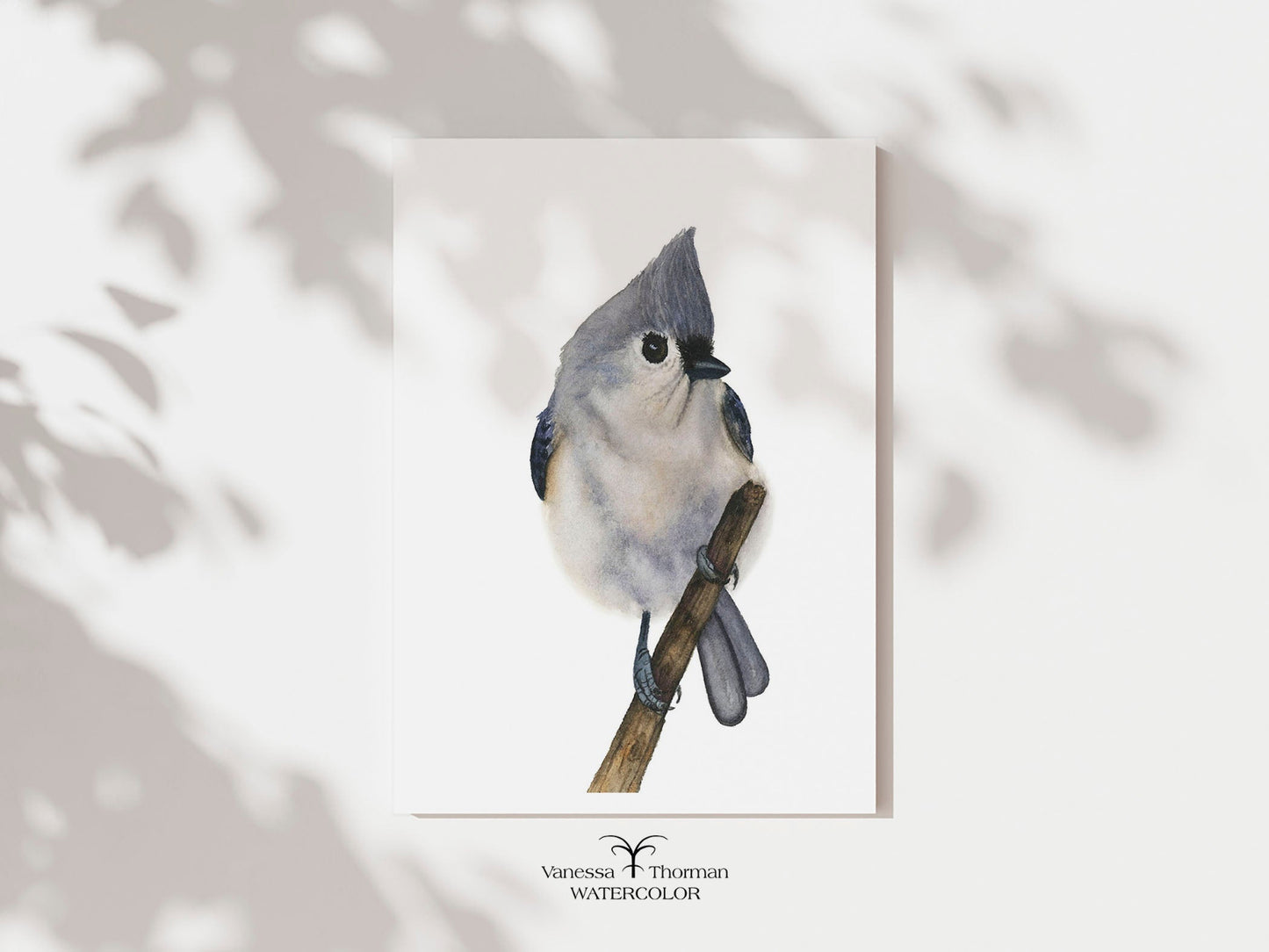 Tufted Titmouse II | Titmouse Watercolor Art Print | Bird Art Giclée