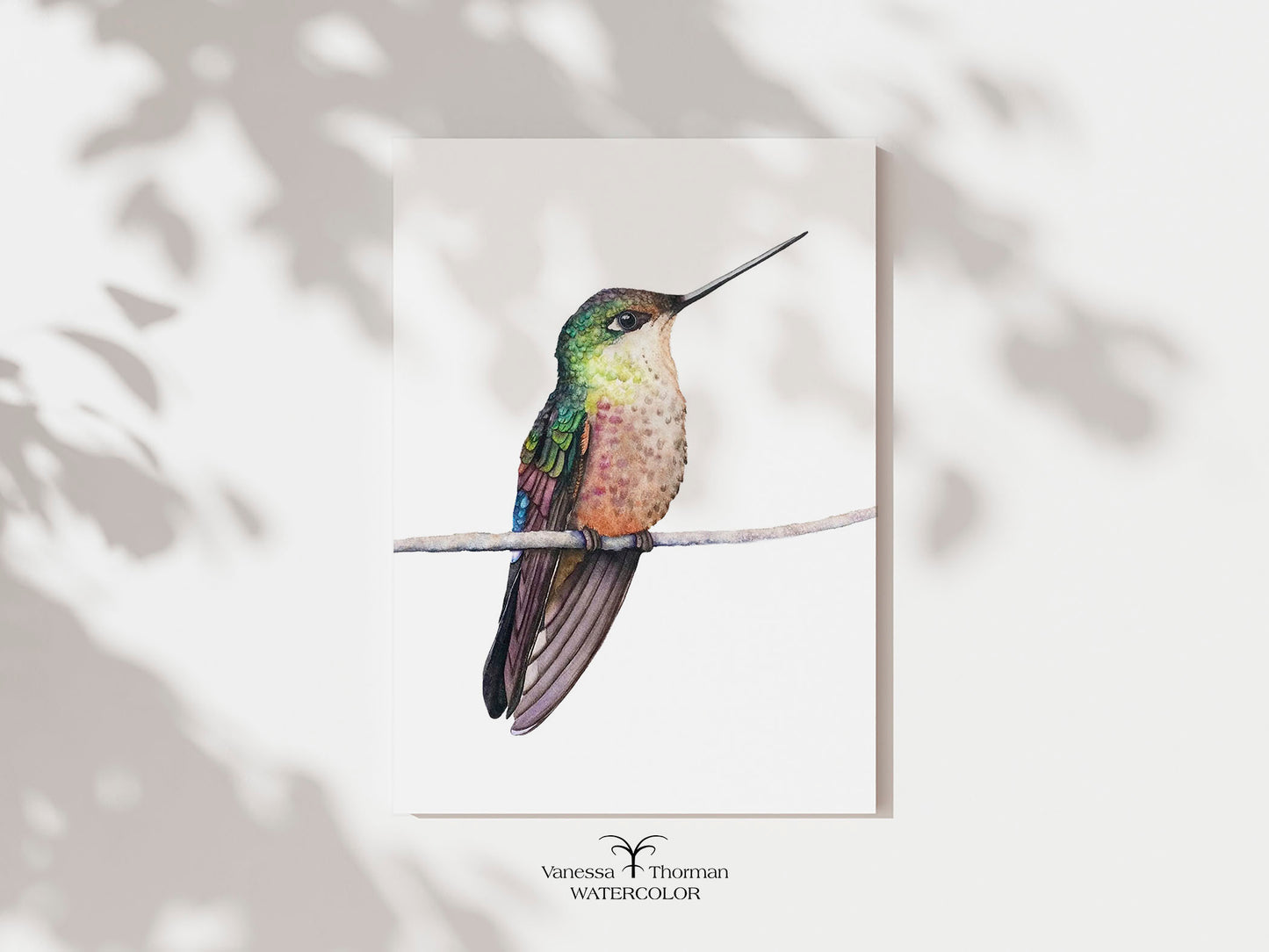 Calliope Hummingbird | Hummingbird Watercolor Art Print | Bird Art Giclée