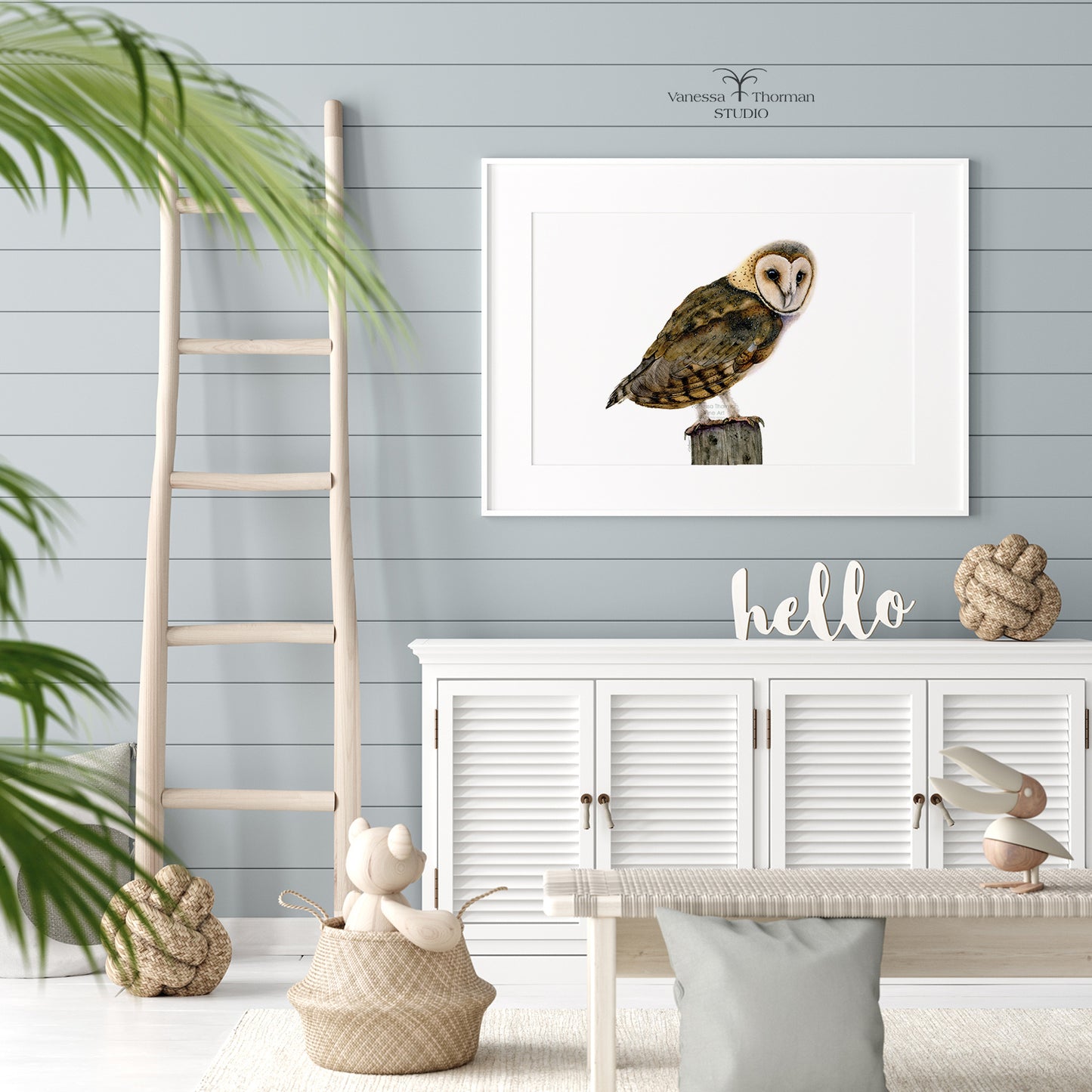 Barn Owl II - Fine Art Print