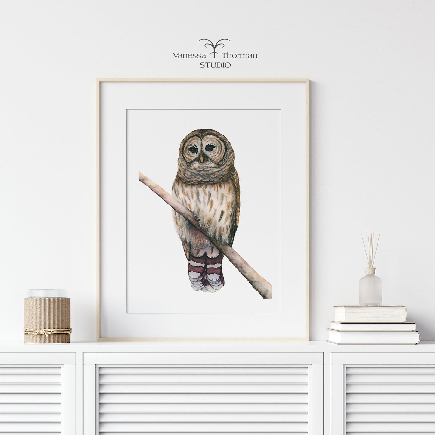 Barred Owl Watercolor Art Print – Woodland Art - Fine Art Giclée
