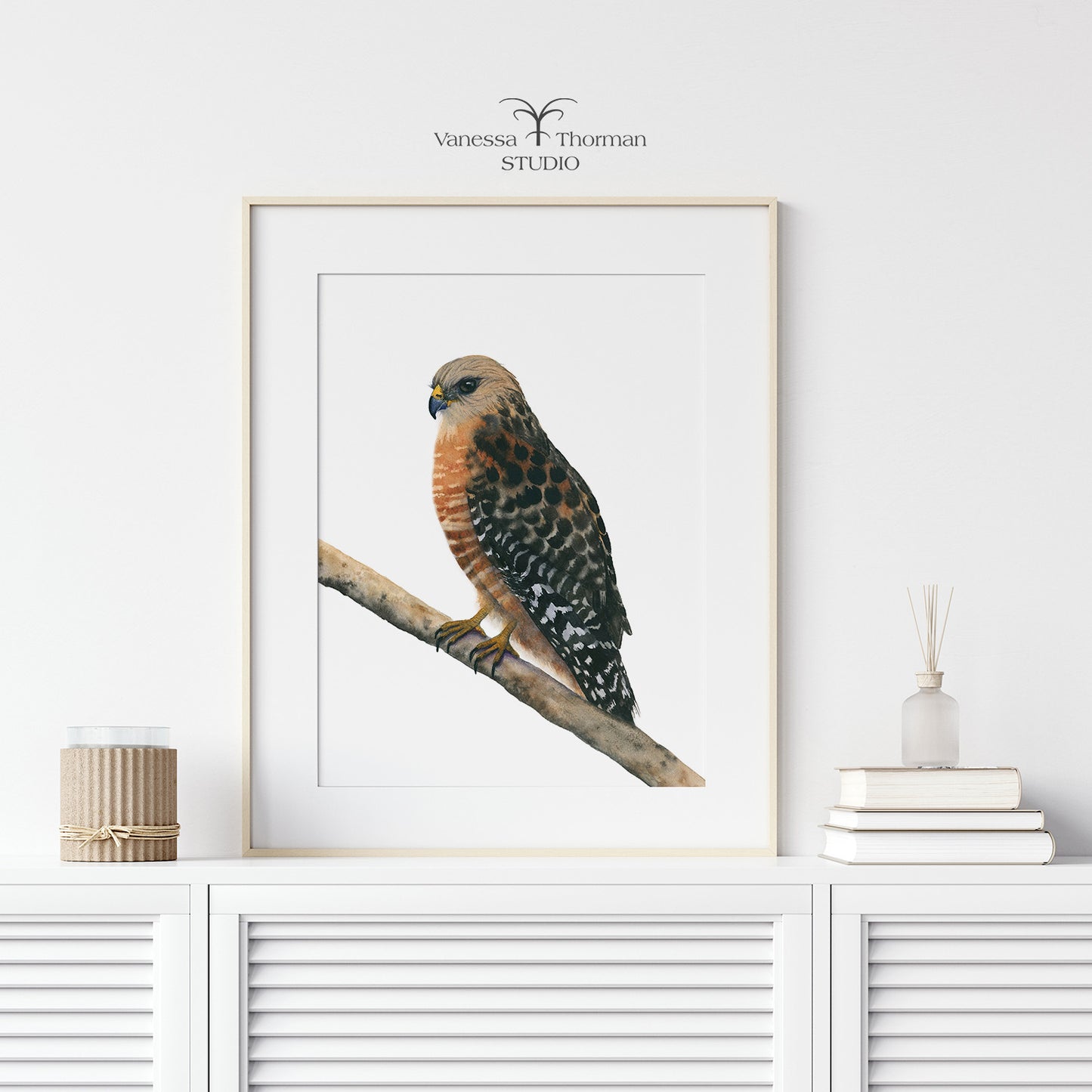 Red-Shouldered Hawk | Hawk Watercolor Art Print | Bird Art Giclée
