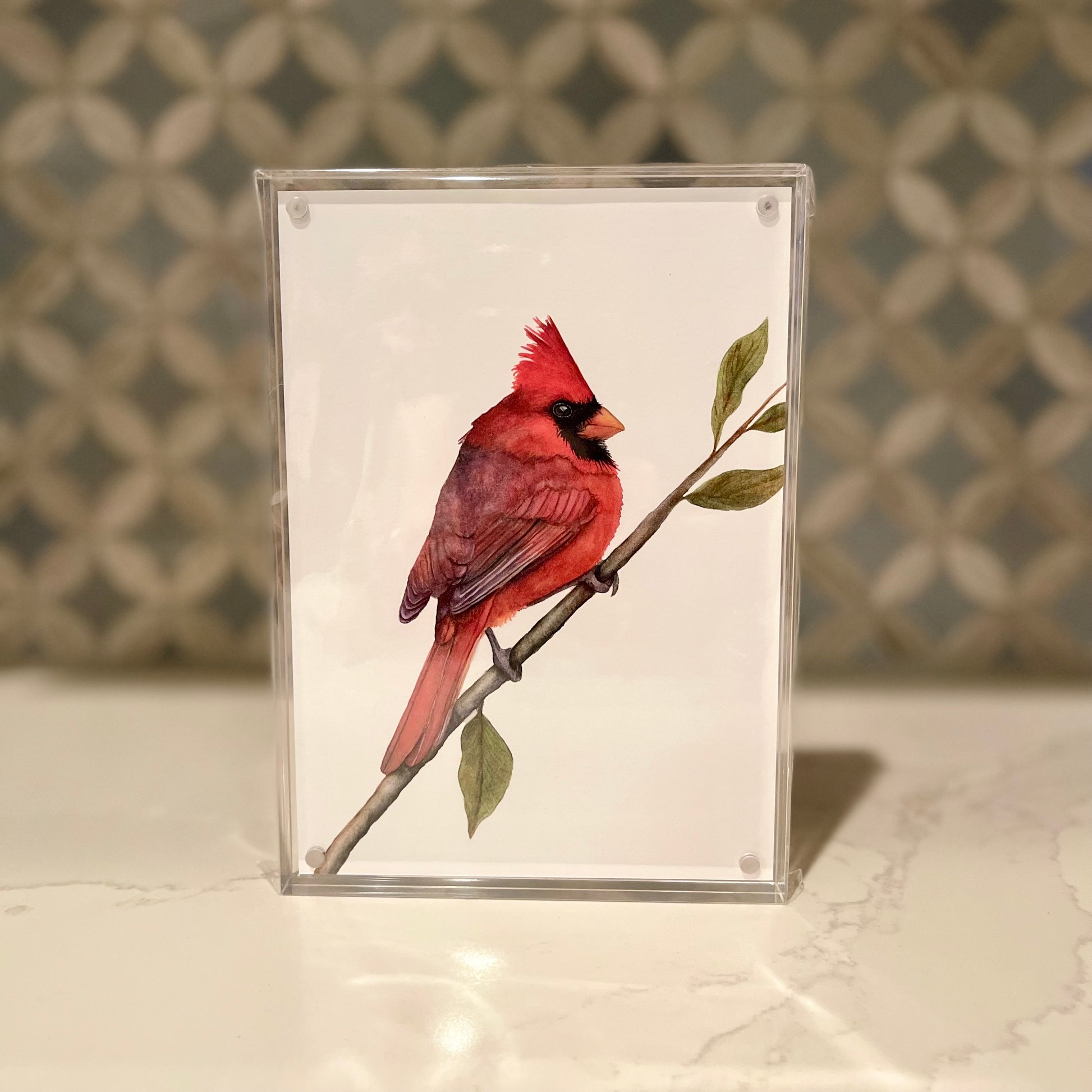 Northern-Cardinal-Watercolor-Art-in-Acrylic-Block-Frame-1