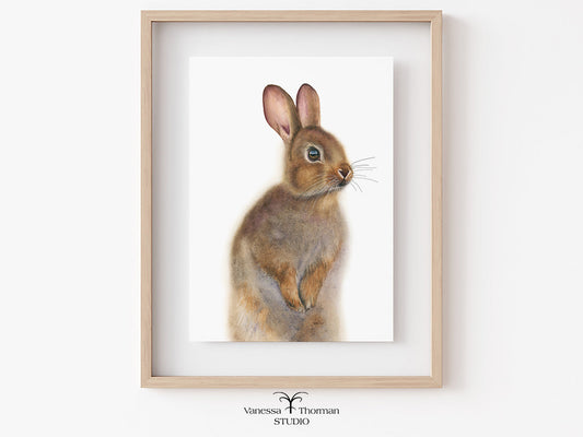 Framed artwork of a rabbit on a white wall