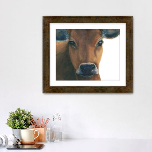 Framed Print - Owen the Cow