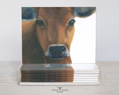 Owen the Brown Cow Folded Notecards | Set of 8 Blank Greeting Cards